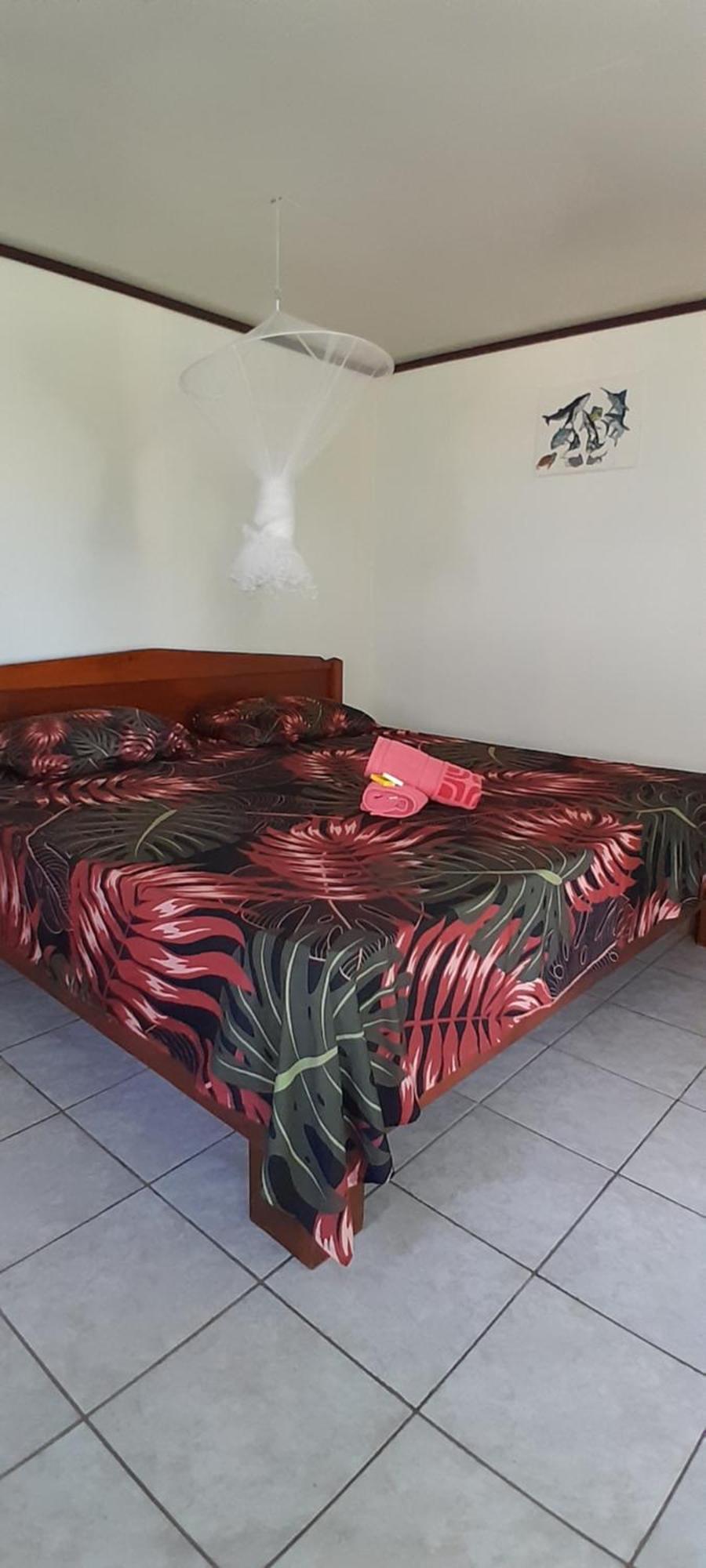 Penu Maurua 1 Apartment Te-Fare-Arii Екстериор снимка